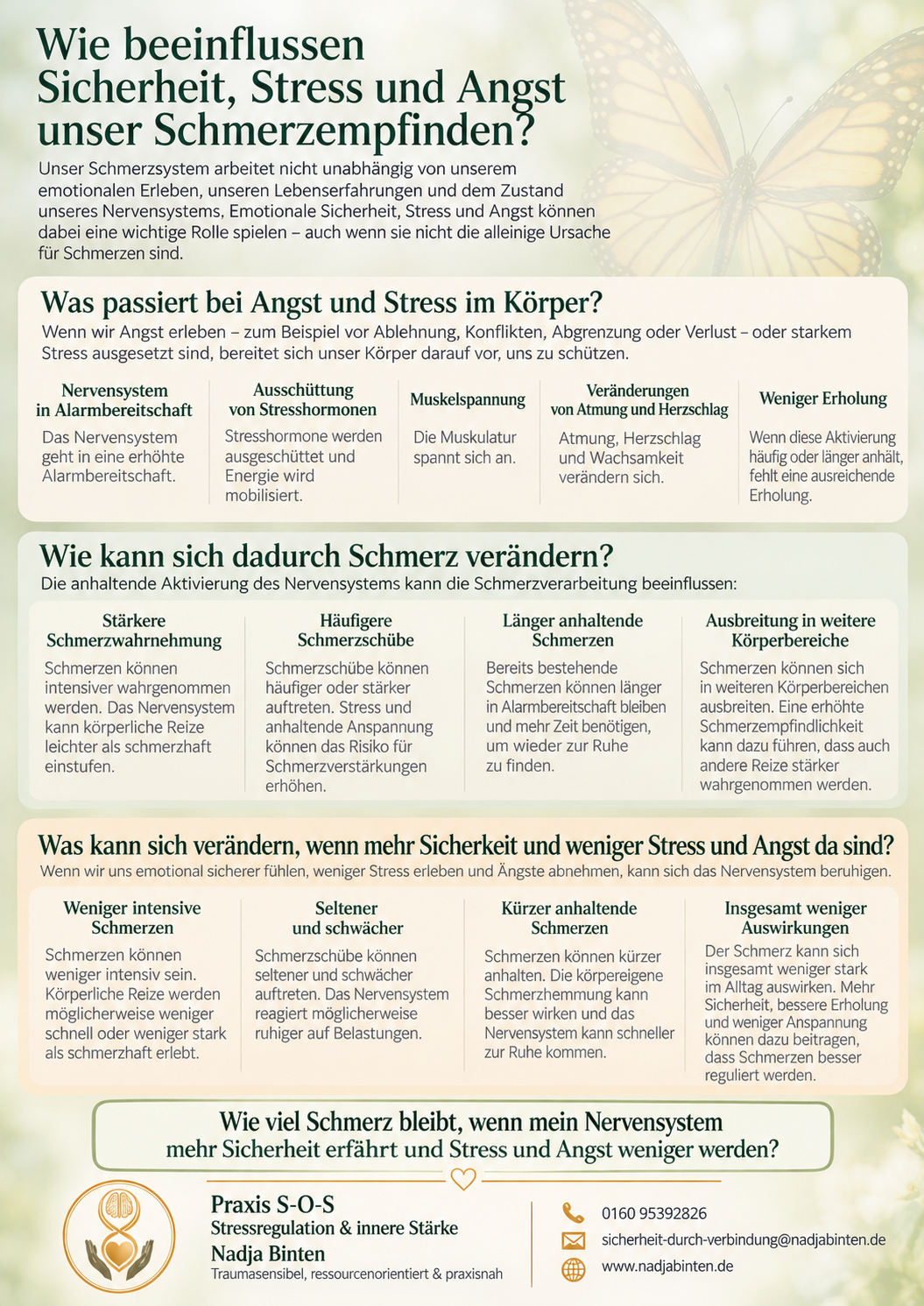 Übersicht: Wie beeinflussen Sicherheit, Stress und Angst unser Schmerzempfinden? Was bei Angst und Stress im Körper passiert, wie sich Schmerz dadurch verändern kann und was sich verändern kann, wenn mehr Sicherheit und weniger Stress und Angst da sind.
